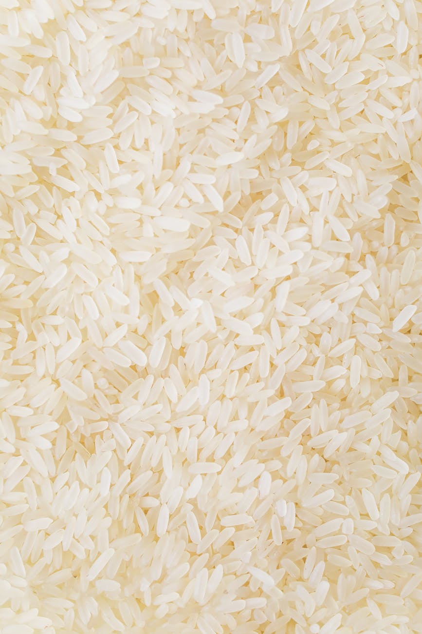 Can You Freeze Cooked Rice? (Yes, and Why It’s the Cheapest Meal Prep Hack You’re Not Doing)